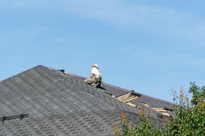 Professional Asphalt Roof Repair 1