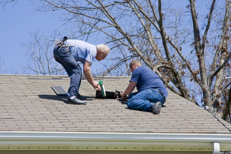 Professional Asphalt Roof Repair 2