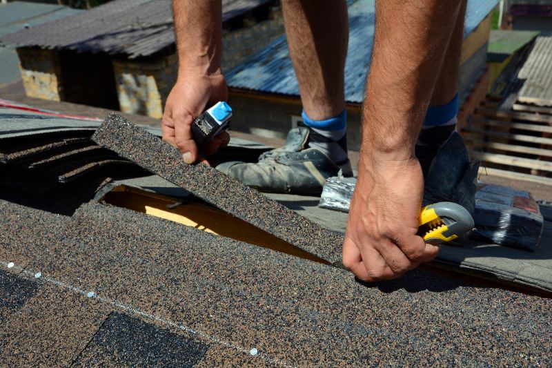 Professional Asphalt Roof Repair 5